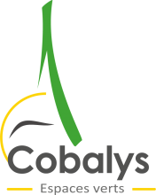 Logo Cobalys